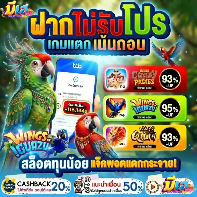 meehay 168 สล็อต